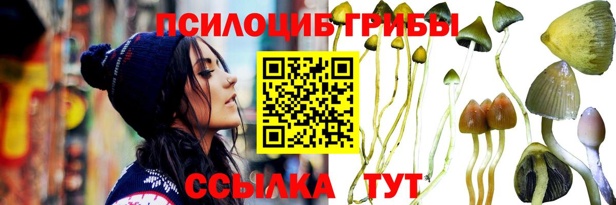 Лыткарино  Псилоцибиновые грибы Magic Shrooms  Вход с VPN 